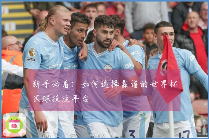 新手必看：如何选择靠谱的世界杯买球投注平台
