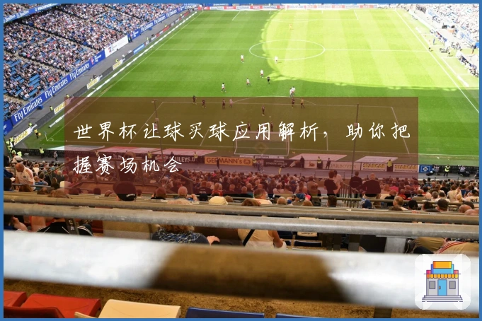 世界杯让球买球应用解析，助你把握赛场机会