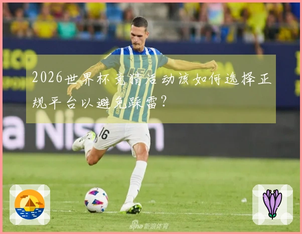 2026世界杯竞猜活动该如何选择正规平台以避免踩雷？