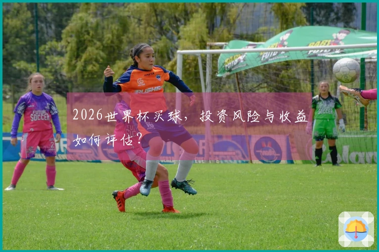 2026世界杯买球，投资风险与收益如何评估？