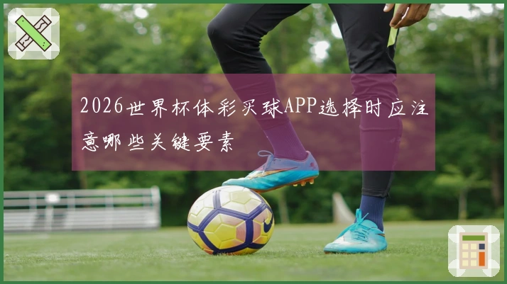 2026世界杯体彩买球APP选择时应注意哪些关键要素
