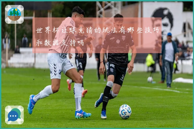 世界杯让球竞猜的玩法有哪些技巧和数据支持吗