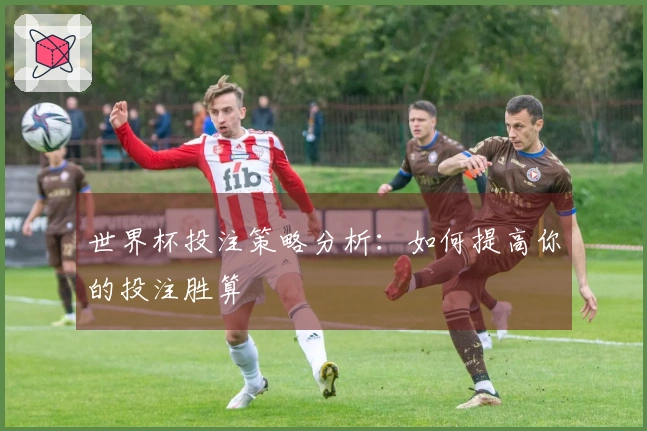 世界杯投注策略分析：如何提高你的投注胜算