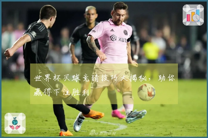 世界杯买球竞猜技巧大揭秘，助你赢得下注胜利