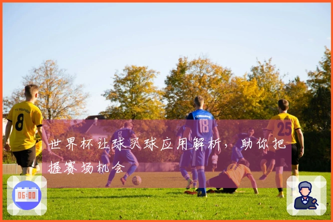 世界杯让球买球应用解析，助你把握赛场机会